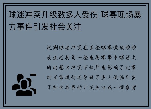 球迷冲突升级致多人受伤 球赛现场暴力事件引发社会关注