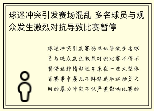 球迷冲突引发赛场混乱 多名球员与观众发生激烈对抗导致比赛暂停